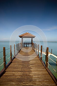 Muelle 