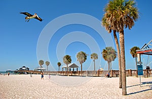 Pier 60 Clearwater Beach Florida