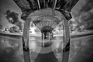 Pier 60 Clearwater Florida black and white image