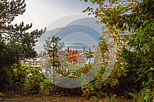 Pier at the bay in Deep Cove Park