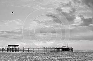 Pier black and white landscape