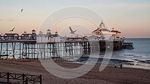 Pier, breakwater and gulls in Eastbourne.