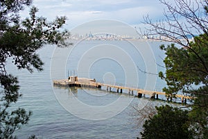 Pier with City Skyline View Through Trees