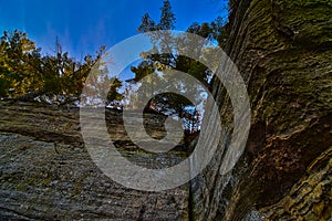 Pier County park in rockbridge wi looking up at the 60 foot cliff face at pine trees above the sandstone cliff