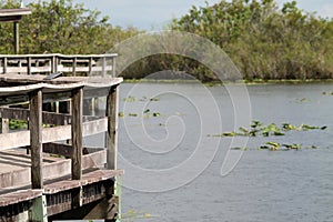 Pier Everglades