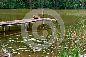 Pier for fishing, marshland, reflection of trees in the pond, a picturesque pond in the forest