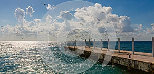 Pier and a flock of birds