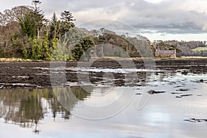Pier house, Forest , trees reflection and Lake in Strangford lough