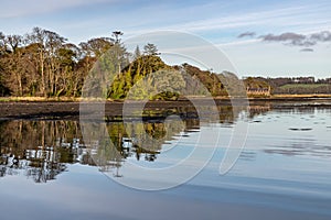 Pier house, Forest , trees reflection and Lake in Strangford lough at sunset