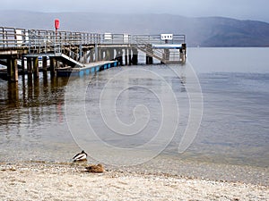 Pier at Luss village, Scotland, UK