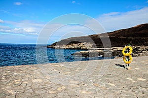 Pier oceanscape with a sandy beach and yellow lifebuoy rings  and rocky, forested hills