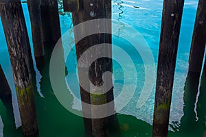 Pier Pilings clear water reflections