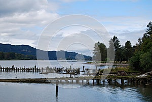 Pier Pilings on Columbia River