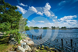 Pier pilings in the Seekonk River, in Providence, Rhode Island.