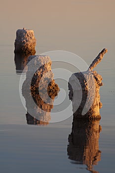 Pier Pillars Reflections