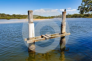 Pier remnant - Nambucca Heads