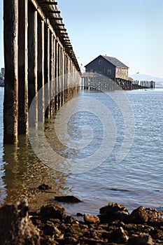 Pier's End, Garibaldi, Oregon vertical