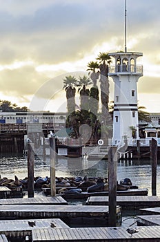 Pier 39, San Francisco, California photo