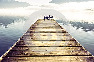 Pier with seagulls by mountain lake Mondsee in Autria