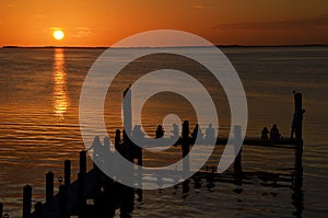 Pier and sunset in Key Largo Florida