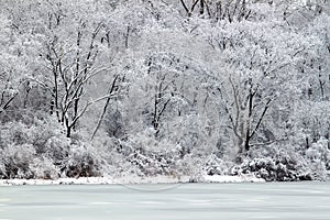 Pierce Lake Snowfall - Illinois