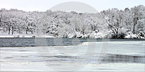 Pierce Lake Snowfall - Illinois