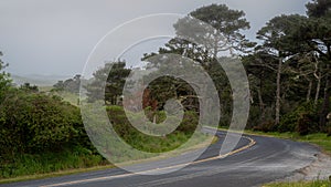 Pierce Point Road in Point Reyes National seashore