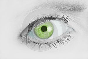 Piercing Green Eye