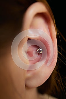 piercings on an ear. Conch and helix piercings close up.