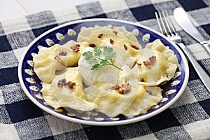 Pierogi dumplings, polish food photo