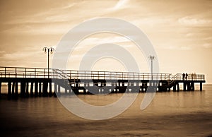 Pierr in the morning