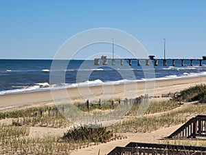 Piers fence Seaoats Seagulls ocean beach fence ocean water salt life