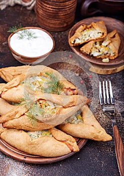 Pies with chicken meat and potatoes. Delicious small savory pirozhki