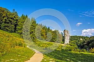 Pieskowa Skala, Poland - Monumental limestone rock Cudgel or Bludgeon of Hercules - Maczuga Herkulesa - in the Ojcowski National