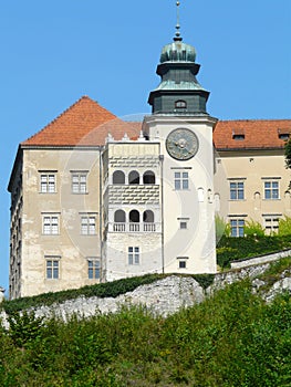 PIESKOWA SKALA , POLAND -Castle in the Krakow-Czestochowa Upla.