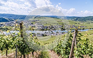 Piesport on the Moselle Rhineland-Palatinate Germany