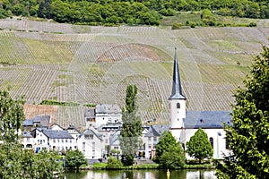 Piesport, Rhineland-Palatinate, Germany