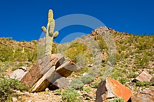 Piestewa / Squaw Peak