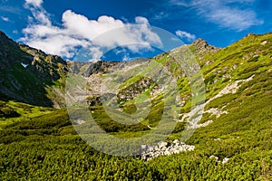 Pietrosul Rodnei mountain. Mountain ridge slopes of Rodna Mountains National Park multiday hike, Muntii Rodnei National Park,