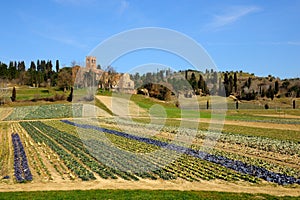 Pieve di San Giovanny Battista (Italy) photo