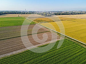Pieve Emanuele fields from drone photo