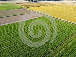 Pieve Emanuele fields from drone photo