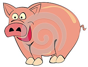 Pig