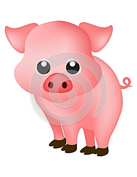 Pig