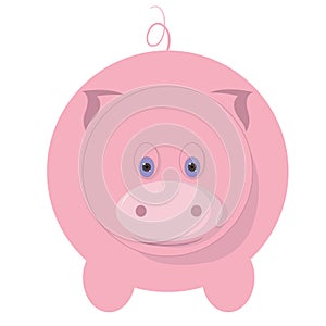 Pig