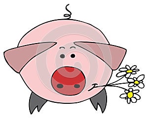 Pig