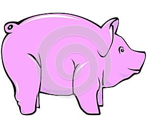 Pig