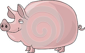 Pig