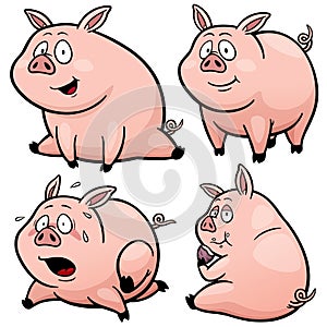 Pig