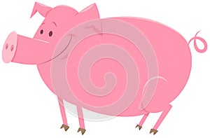 Pig animal character cartoon illustration